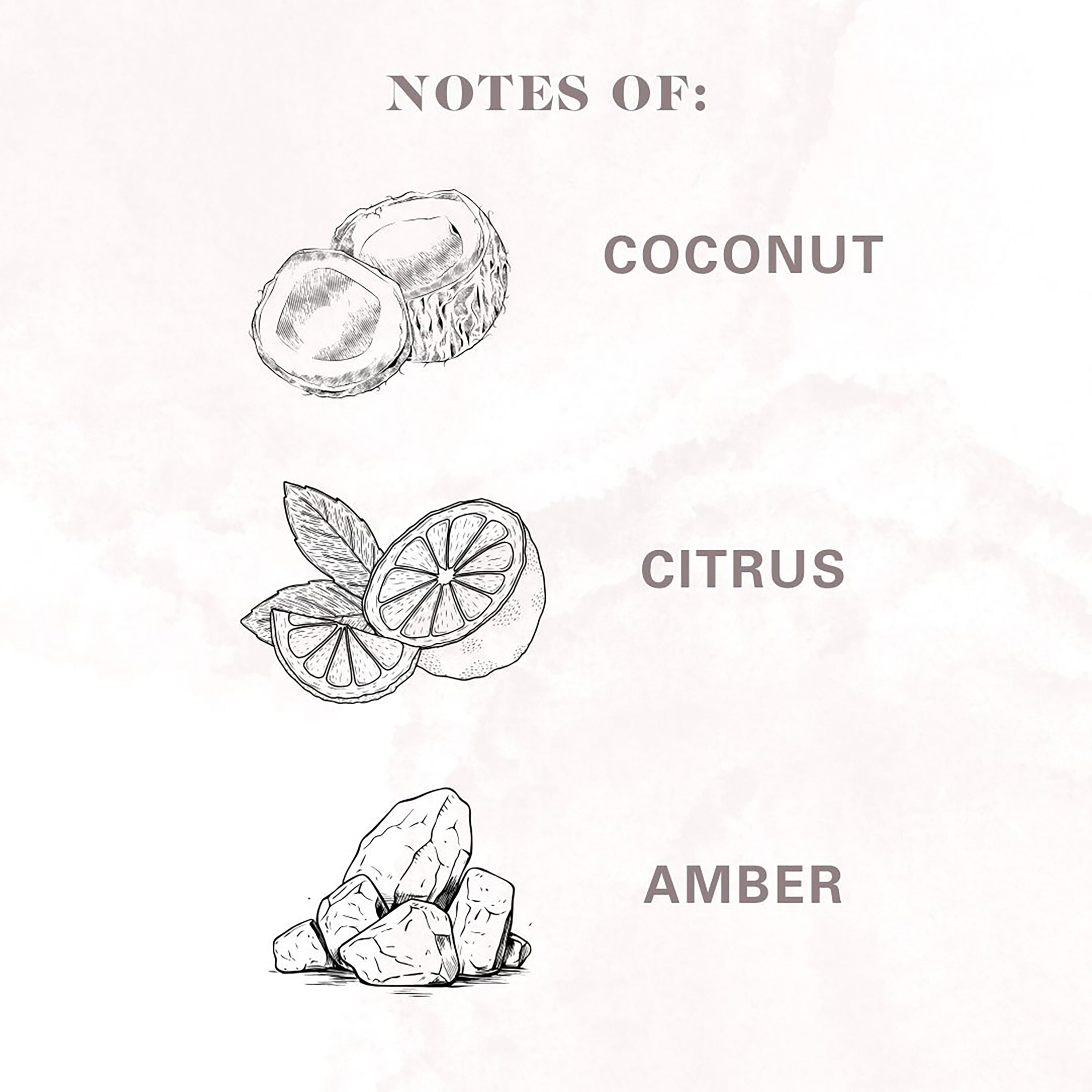 Allswell Calm Scented Ceramic Jar Spa Candle 10 oz., Coconut & Citrus & Amber, White