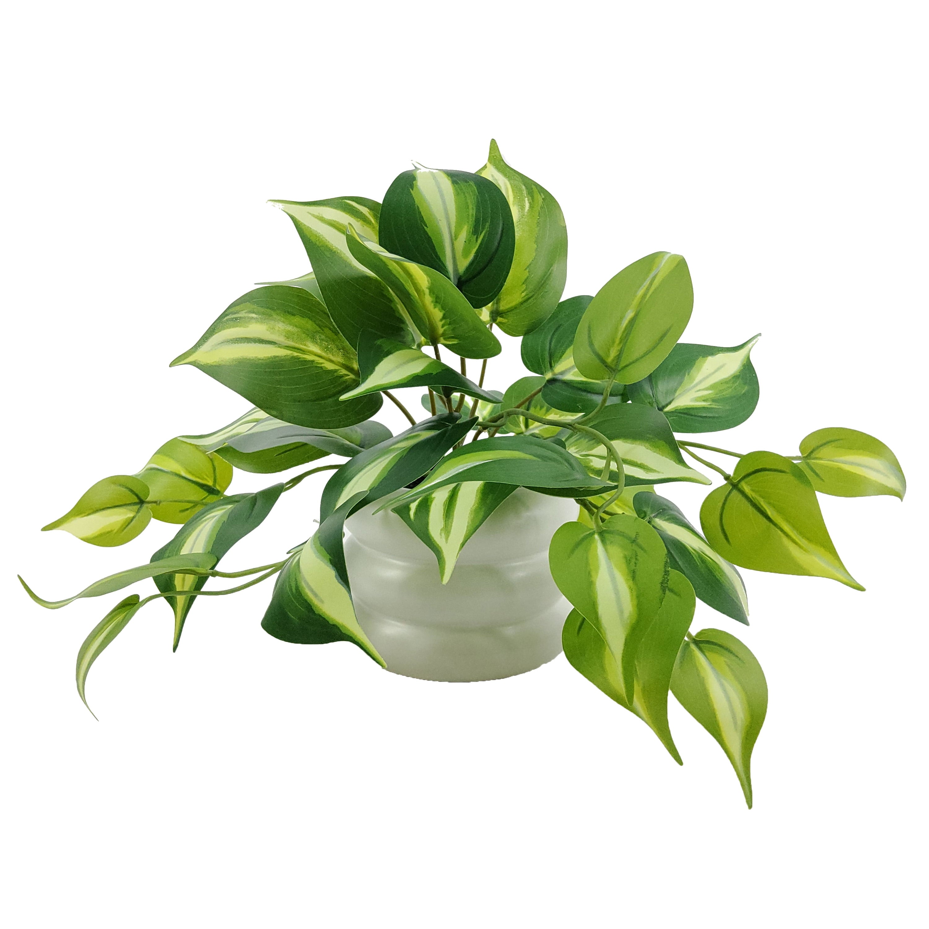 Mainstays 9'' Indoor Artificial Pothos with Bubble Vase, White Ceramic Vase, Green Pothos
