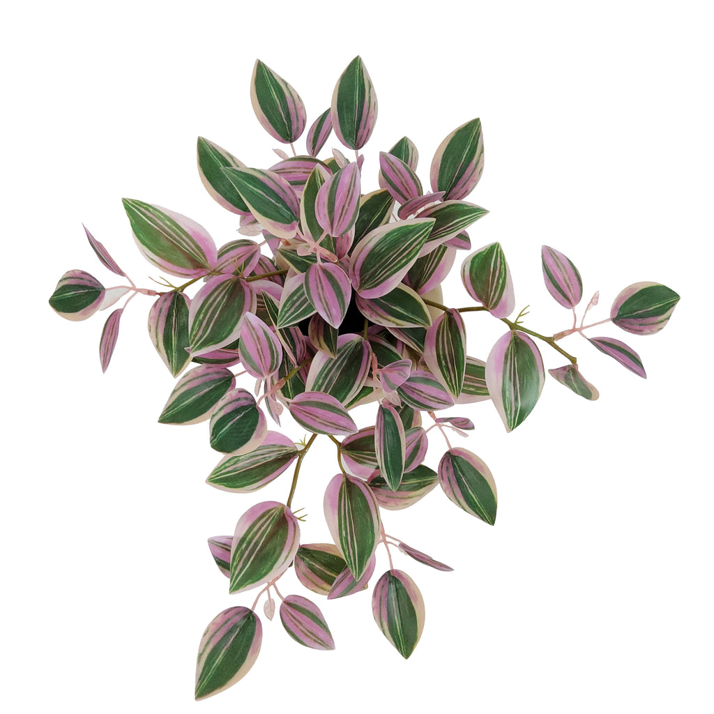 Mainstays Indoor Artificial Variegated Zebrina, 9.5-Inch, Pink and Green Leaves, Tan Bubble Vase