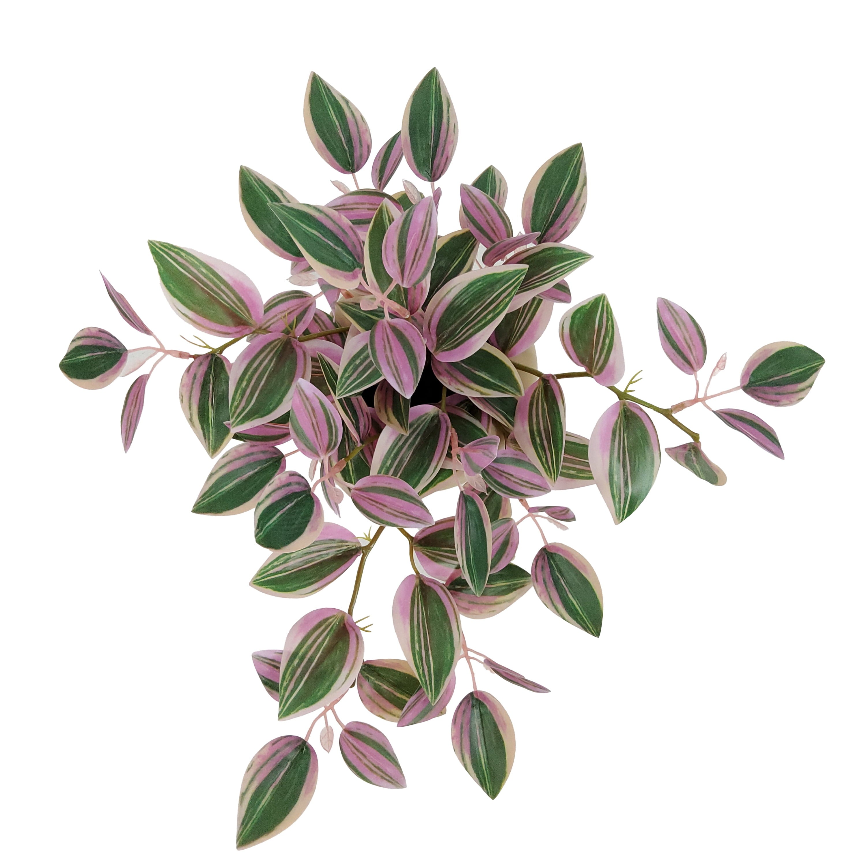 Mainstays Indoor Artificial Variegated Zebrina, 9.5-Inch, Pink and Green Leaves, Tan Bubble Vase
