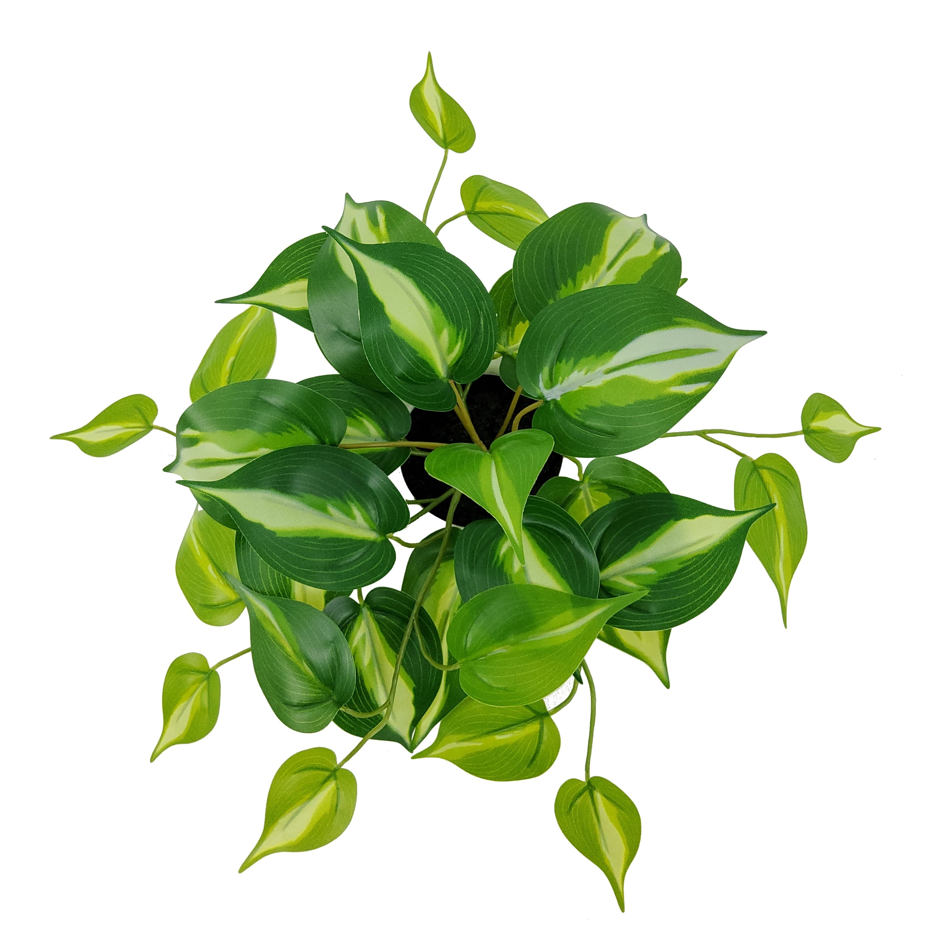 Mainstays 9'' Indoor Artificial Pothos with Bubble Vase, White Ceramic Vase, Green Pothos